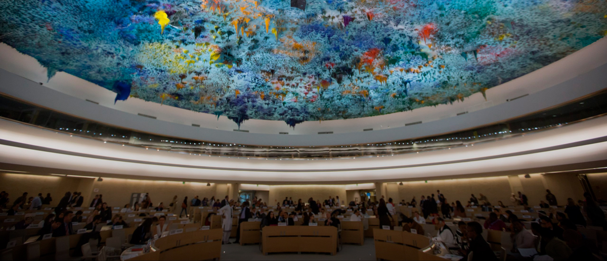 Magíster en Derecho Internacional de los Derechos Humanos