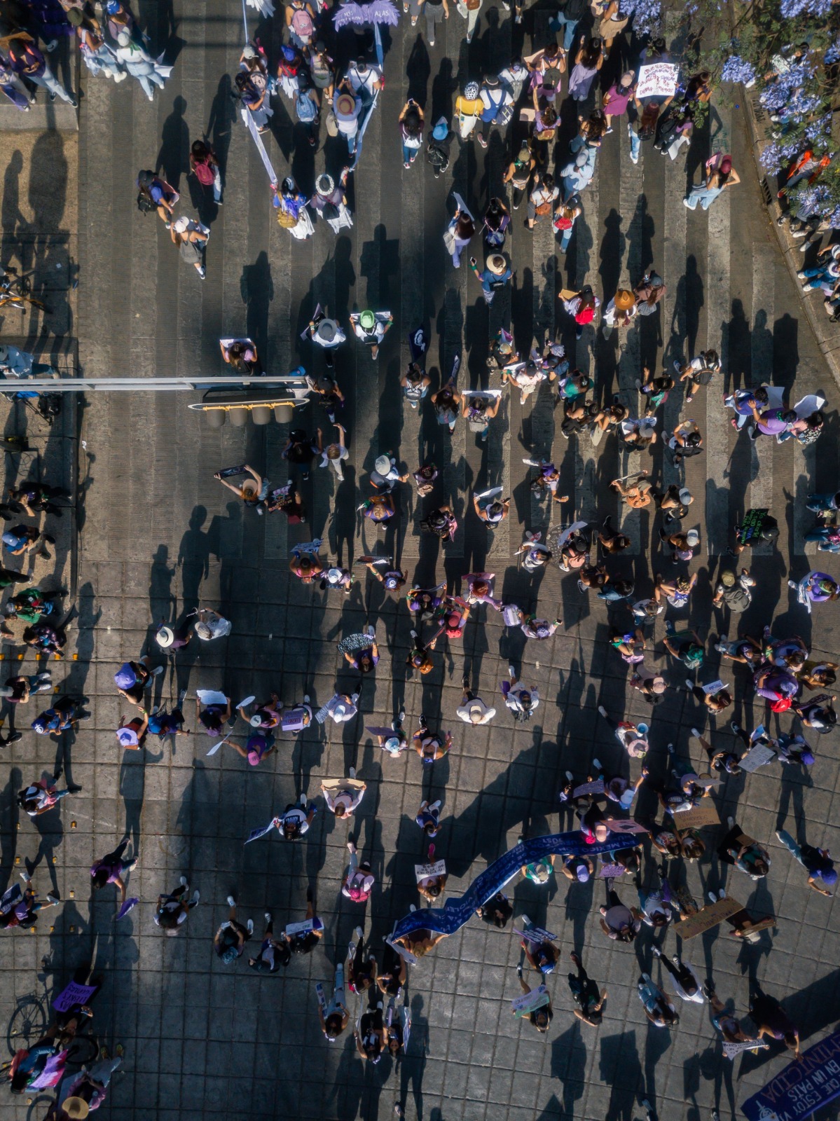 Magíster en Métodos para la Investigación Social