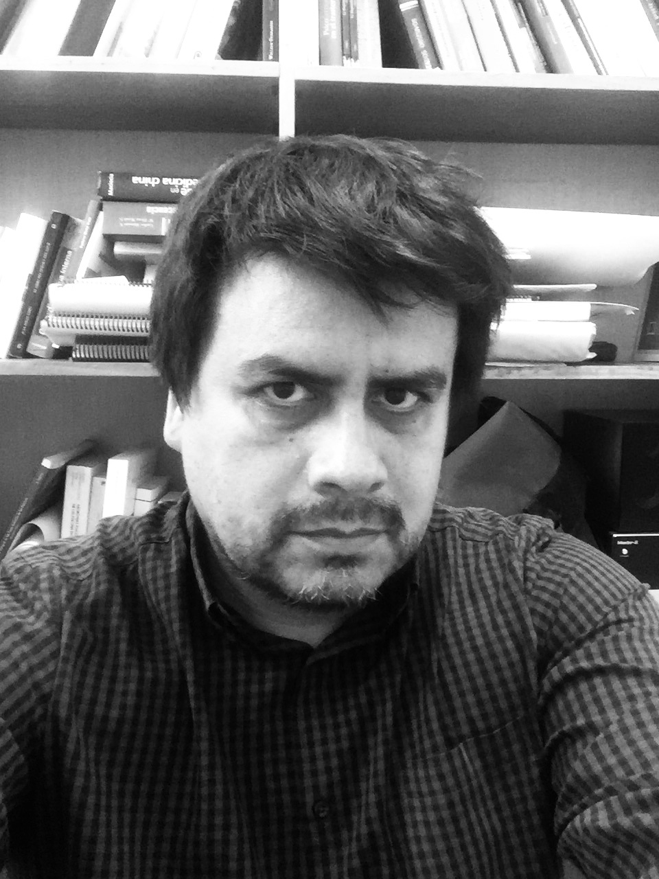 Carlos Gallardo Posgrados y Educación Continua UDP